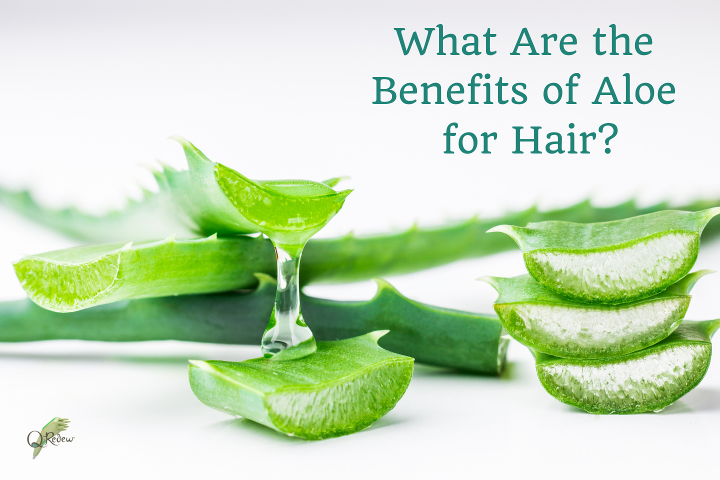 What Are the Benefits of Aloe Vera for Hair?